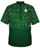 St Pat's 24
